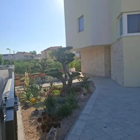 Monami - Simona * Vodice