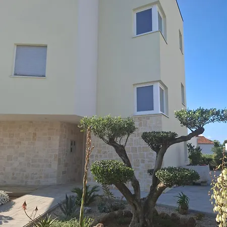 Monami - Simona * 보디체