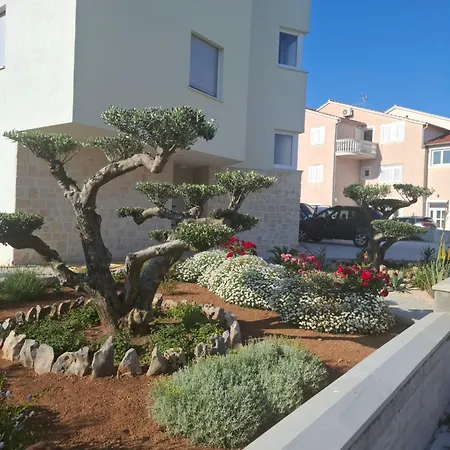 Monami - Simona * Vodice