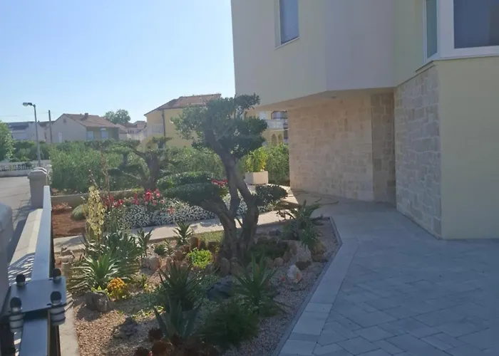 Monami - Simona * Vodice