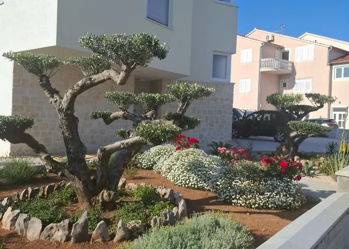 Monami - Simona * Βόντιτσε